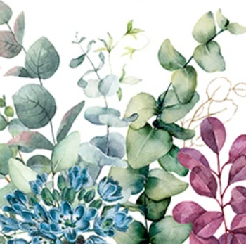 Hovedbilde EUCALYPTUS & MINT