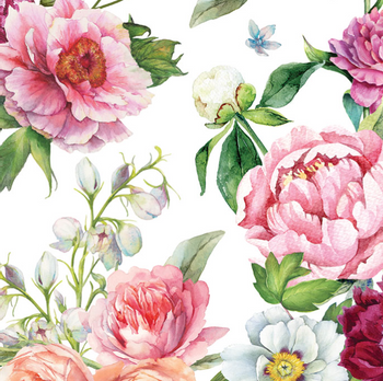 Hovedbilde BLUSH PEONY