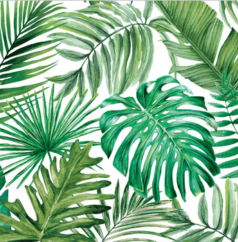 Hovedbilde PALM BREEZE